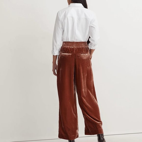 Madewell Silk-Blend Velvet Carley Wide-Leg Pants - Picture 6 of 8